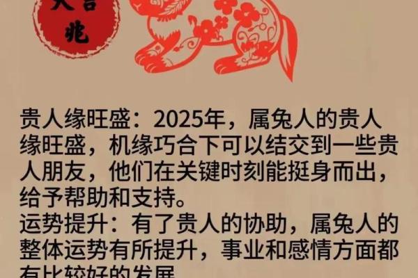 兔的贵人第一名