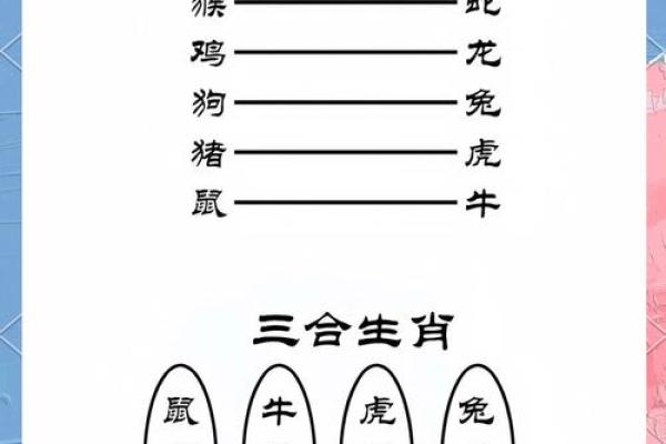 兔的三合和六个合生肖是什么