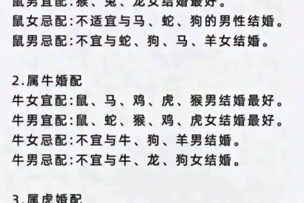 马和什么属相最配