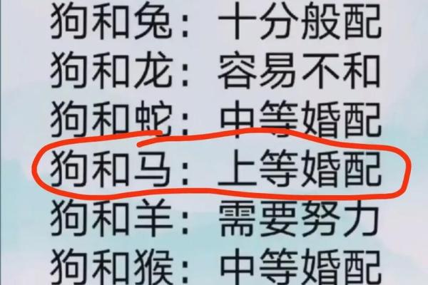 马和什么属相最配