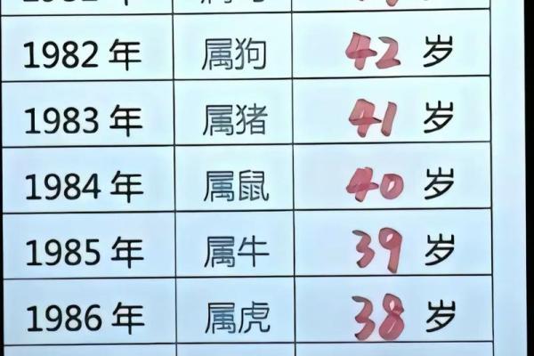 1978年属什么生肖