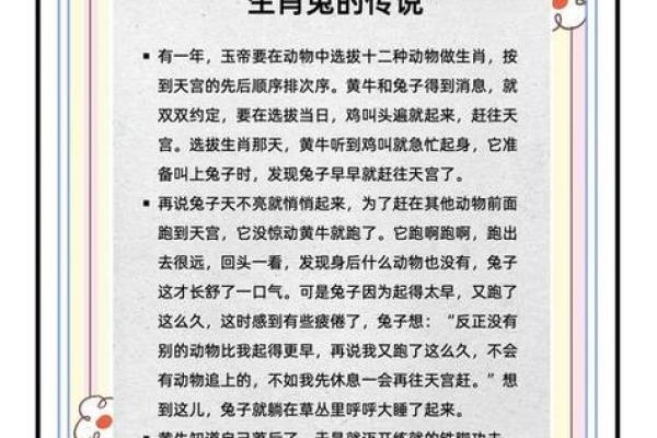 属兔的今年多大