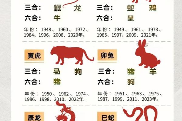 天肖是指哪几个生肖