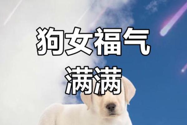 82年属狗43岁以后十年