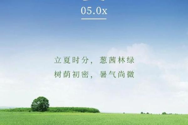 2016年立夏是几月几号2016年5月5日 2016年立夏是几月几号2016年5月5日