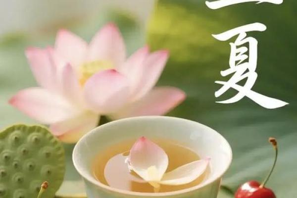 2016年立夏是几月几号2016年5月5日 2016年立夏是几月几号2016年5月5日