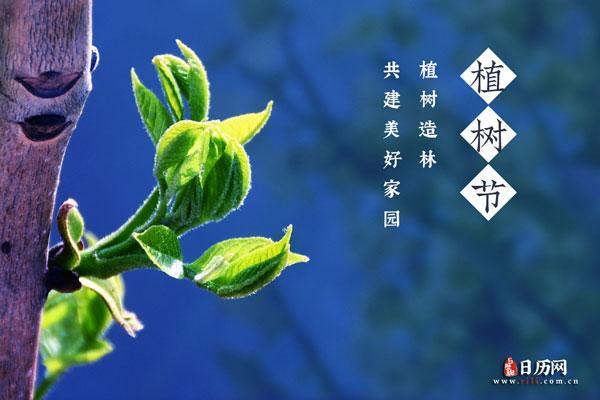 2021植树节是几月几日 2021植树节是几月几日