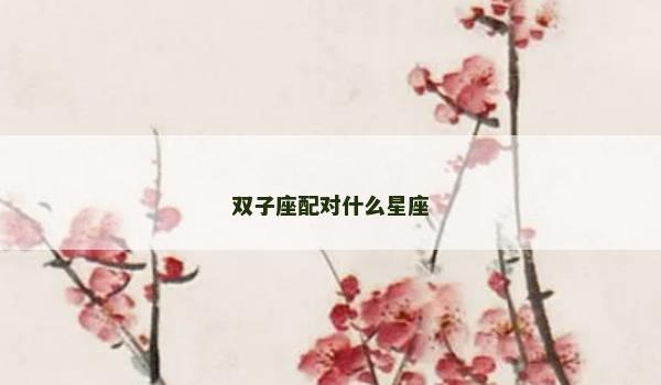 双子座配对什么星座
