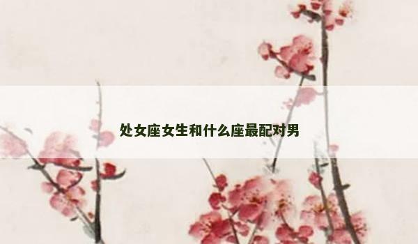处女座女生和什么座最配对男