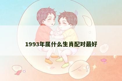 1993年属什么生肖配对最好
