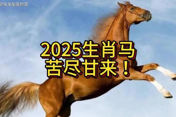 2025年2月份属马动土黄道吉日有哪几天_2025年生肖马