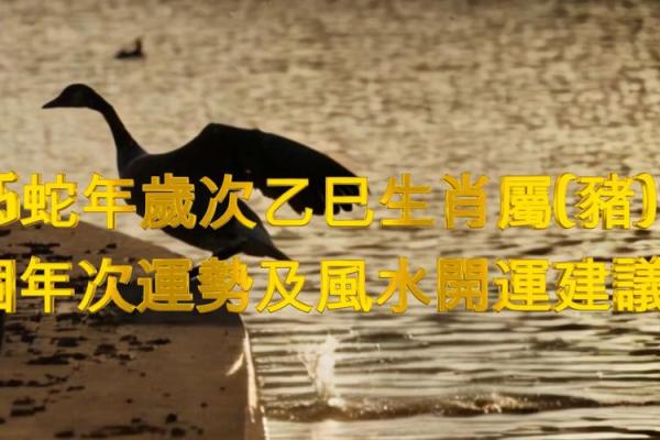 2025年3月今天动土日子好不好_2025年属蛇动土吉日推荐今日动土日子好不好解析