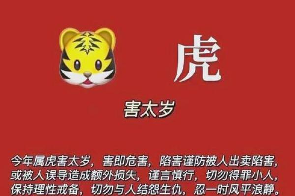 2025年生肖马动土吉日分享2025年1月最旺动土日子指南