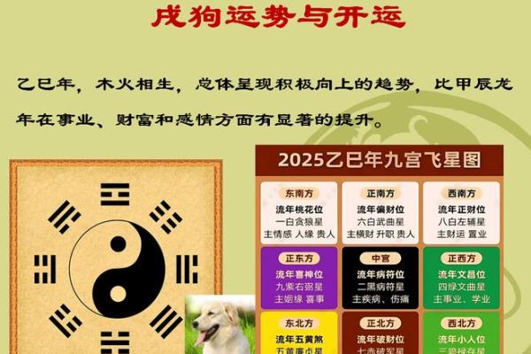 黄道吉日2025年11月生肖狗动土吉日查询_属狗动土吉日