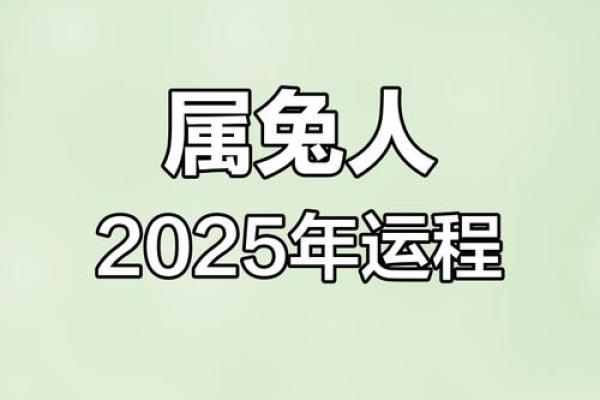 87年属兔女2025年运势 2025年属兔女运势详解乙巳年农历每月运程指南