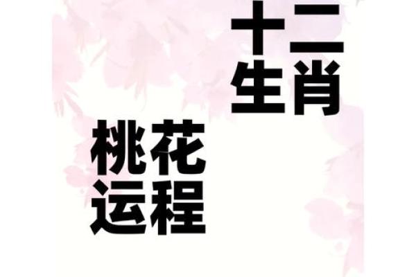 属羊2025年全年运势及运程_属马2025年全年运势及运程
