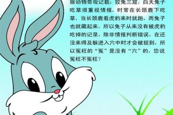 1987年属兔的在2025年怎么样 87年属兔38岁走大运