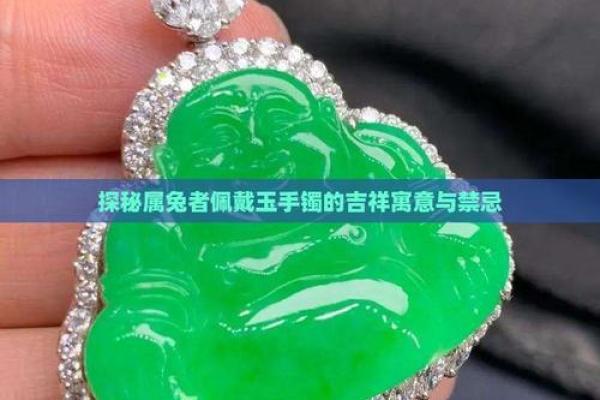 2025属兔佩戴饰物_属兔2022年佩戴什么