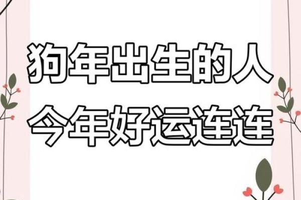 1994年属狗人2025年运势详解二〇二五狗年运程指南