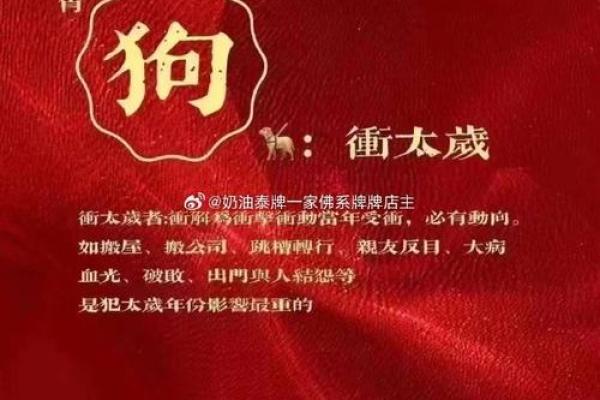 1994年属狗人2025年运势详解二〇二五狗年运程指南
