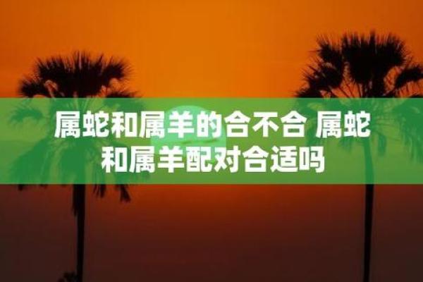 属羊的2025年几岁_属蛇的2025年几岁