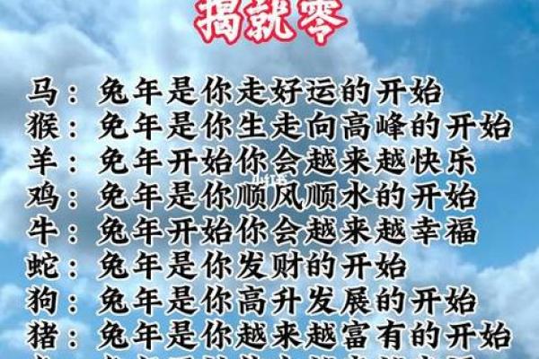 属兔今年的运势怎么样2025 2025年属兔全年运势详解2025年兔年运程解析