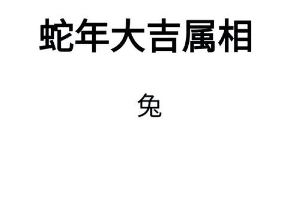 2025年农历十月87年兔运势解析2025年11月属兔运程指