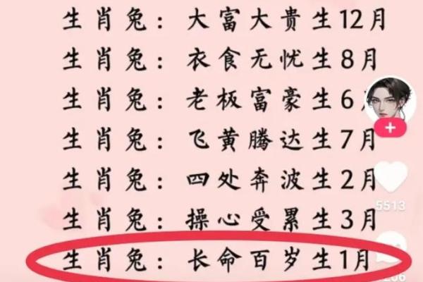 2025年属兔的全年运势 2025年属兔全年运势详解2025年112月每月运程解析