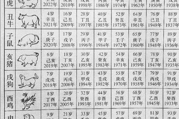 2023年十一月75年属兔年龄解析2023年11月生肖兔岁数
