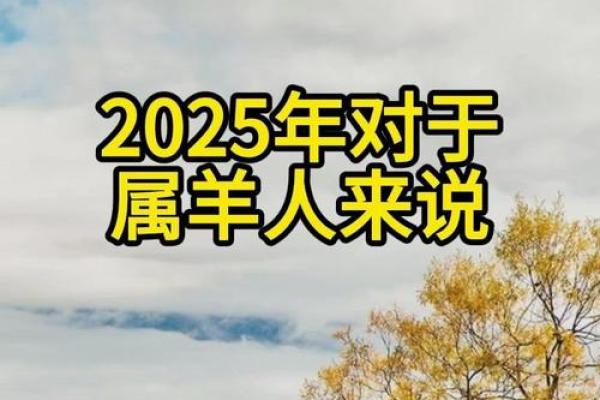 1979年属羊的人2025年运势及运程_79属羊2025的大难