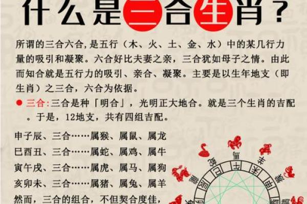 属羊人与什么属相合作最好_属羊和什么属相合作比较好