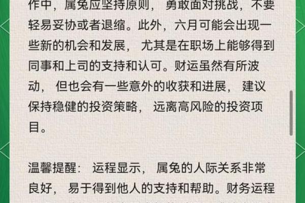 属兔2025多大 2025年十一月属兔年龄解析2025年11月属兔人多大了