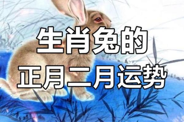 1975年属兔男2025年运势解析二〇二五全年运程指南