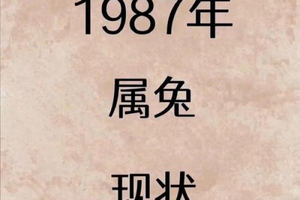 属兔的今年多大1999年出生_2023年十一月属兔年龄解析1999年出生者11月岁数查询