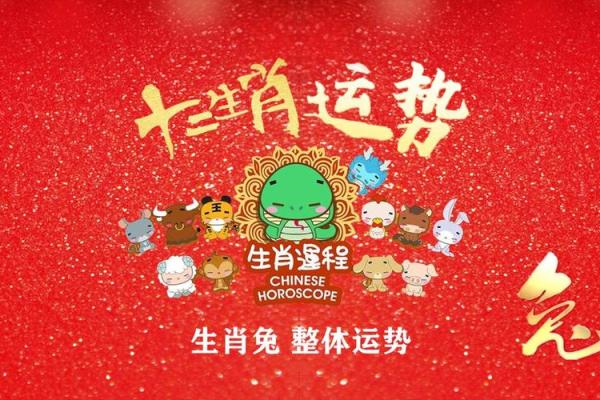 2025属兔人颜色_属兔2025年最旺颜色