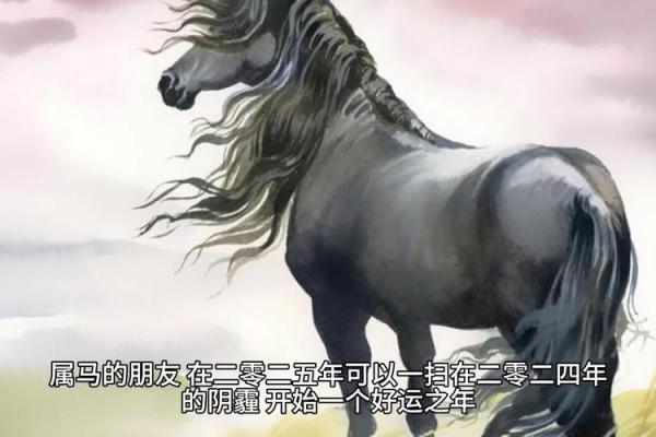 1966年属马2025年运势_2025年属马人全年运势解析1966年运程指南