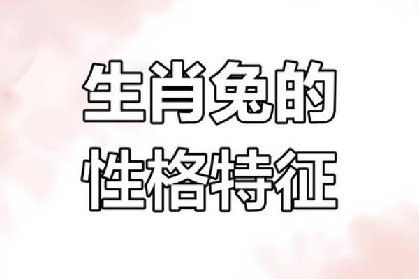 1987年属兔大忌颜色 2023年十一月大忌颜色解析1987年属兔11月禁忌色彩指南