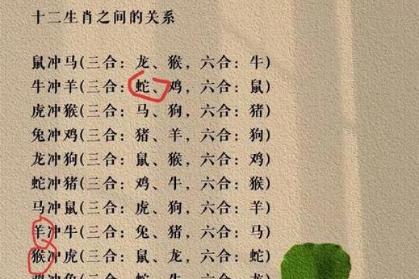 属羊和属蛇的人合得来吗_属羊的人和属蛇的人合吗
