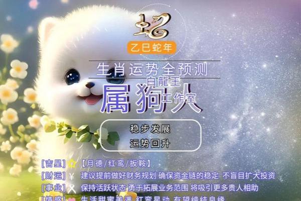 2025年属狗的运势如何_属狗2025年运势及运程每月运程狗