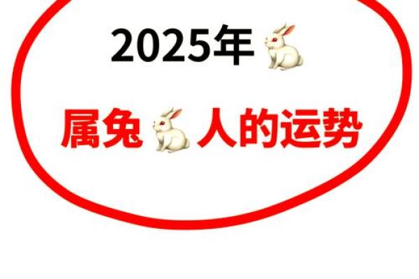 属兔2025 2025年十一月属兔运势解析2025年11月生肖兔吉日指南