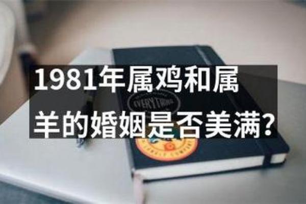 属羊与属鸡婚配好不好_属鸡男与属羊女大忌