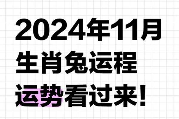 属兔人2025年的运势_2025年十一月属兔人运势解析2025年11月生肖兔运程指南