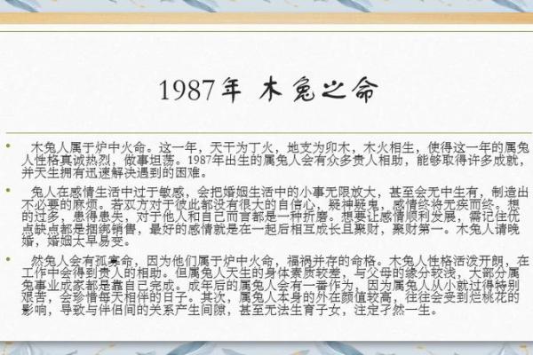 1987属兔37岁以后运气 1987年属兔33岁后会大富大贵