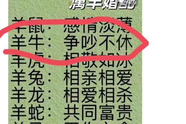 两个属羊的人婚配好不好_两只羊结婚的后果