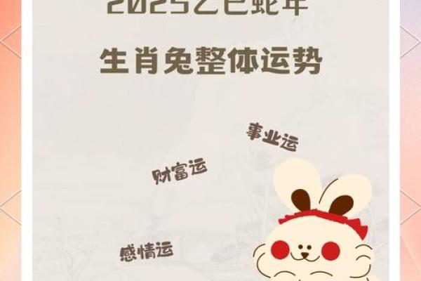 1987年属兔2025年的运势 1987年属兔2025年运势如何