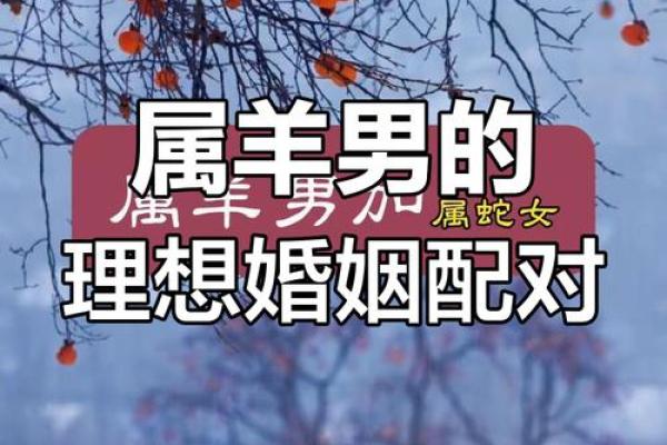 两个属羊的人适合做夫妻吗解析属羊夫妻婚配宜忌