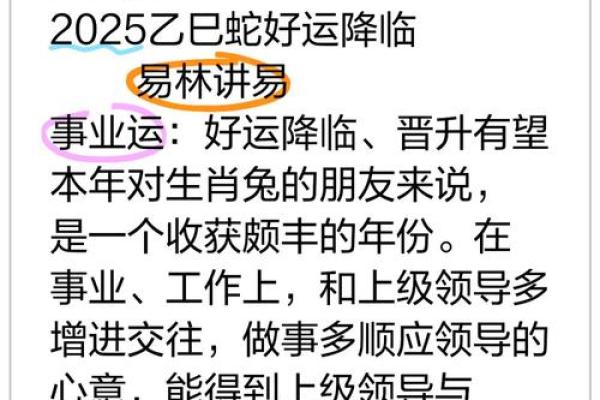 2025生肖兔运势及运程 2025年属兔的运程