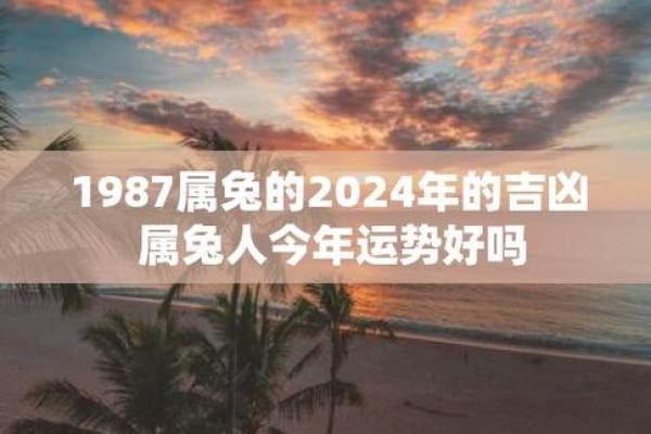 87年属兔多大_属兔的今年多大了2025年