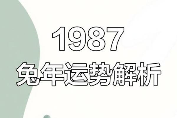 1987年女兔2025年运势及运程_1987年男兔2025年的全年运势详解