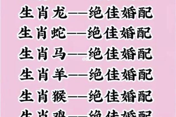 属羊男和属鼠女婚配好吗生肖配对解析与婚姻建议